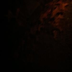 Meet your Posher, Malik